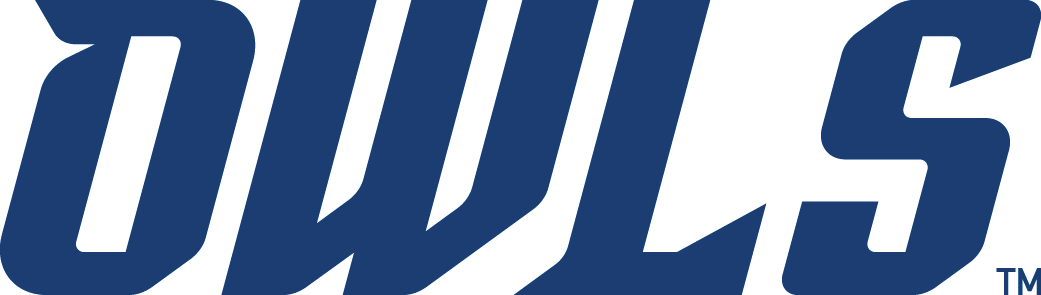 Rice Owls 2017-Pres Wordmark Logo diy DTF decal sticker